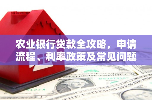 通州农业银行贷款全攻略，申请流程、利率政策及常见问题解析