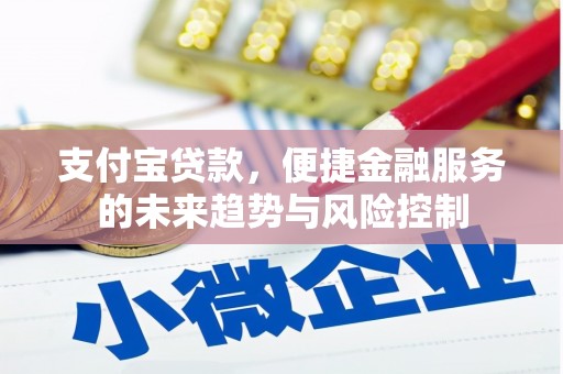 通州支付宝贷款，便捷金融服务的未来趋势与风险控制