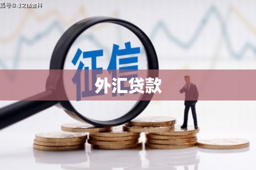 通州外汇贷款
