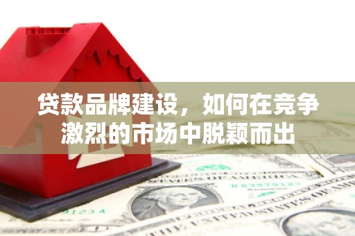 通州贷款品牌建设，如何在竞争激烈的市场中脱颖而出