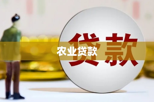 通州农业贷款