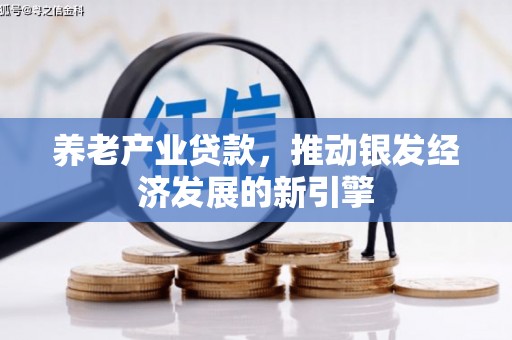 通州养老产业贷款，推动银发经济发展的新引擎