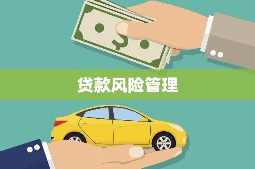 通州贷款风险管理
