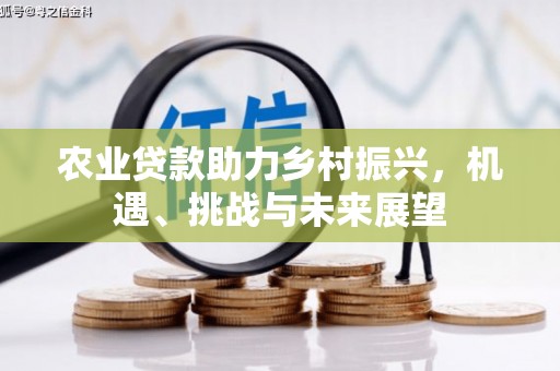 通州农业贷款助力乡村振兴，机遇、挑战与未来展望
