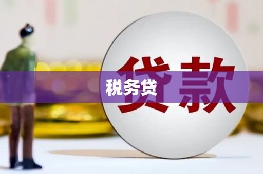 通州税务贷