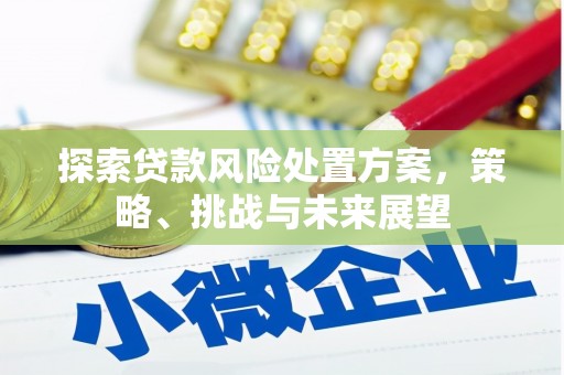 通州探索贷款风险处置方案，策略、挑战与未来展望