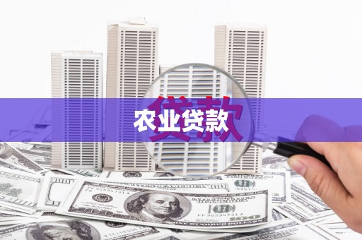 通州农业贷款