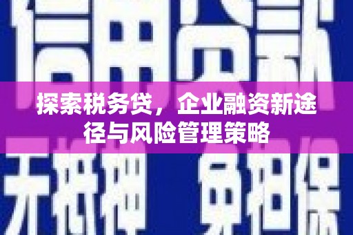 通州探索税务贷，企业融资新途径与风险管理策略