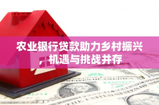 通州农业银行贷款助力乡村振兴，机遇与挑战并存