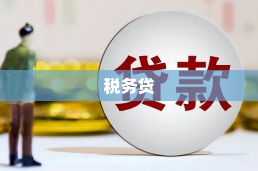 通州税务贷