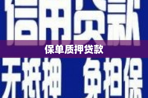 通州保单质押贷款