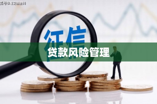 通州贷款风险管理