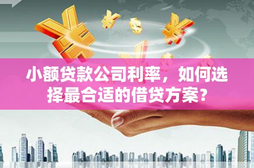 通州小额贷款公司利率，如何选择最合适的借贷方案？