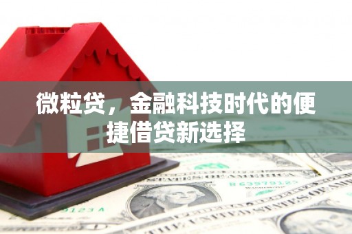 通州微粒贷，金融科技时代的便捷借贷新选择