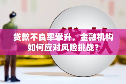 通州贷款不良率攀升，金融机构如何应对风险挑战？
