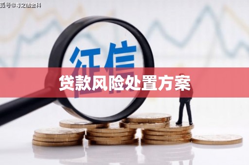 通州贷款风险处置方案